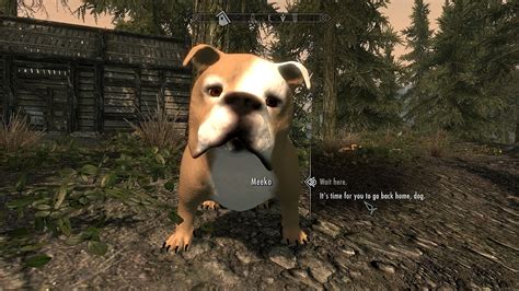 dog mod skyrim